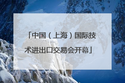 中国（上海）国际技术进出口交易会开幕