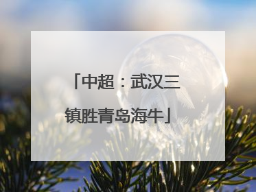 中超：武汉三镇胜青岛海牛