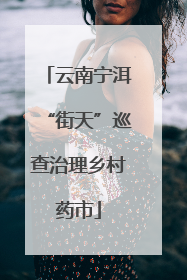 云南宁洱“街天”巡查治理乡村药市