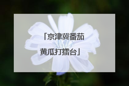京津冀番茄黄瓜打擂台