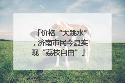 价格“大跳水”，济南市民今夏实现“荔枝自由”