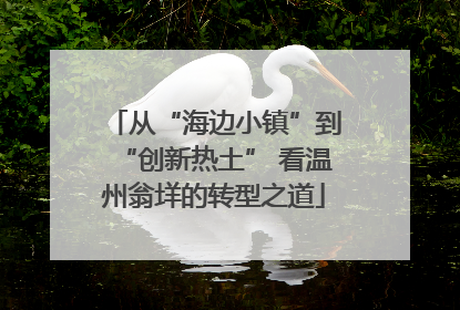 从“海边小镇”到“创新热土” 看温州翁垟的转型之道