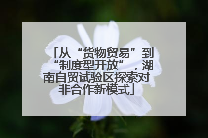 从“货物贸易”到“制度型开放”，湖南自贸试验区探索对非合作新模式