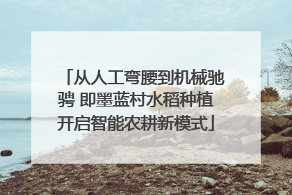 从人工弯腰到机械驰骋 即墨蓝村水稻种植开启智能农耕新模式