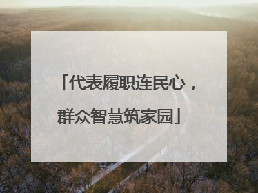 代表履职连民心，群众智慧筑家园
