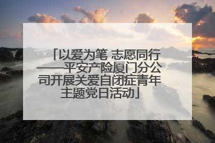 以爱为笔 志愿同行——平安产险厦门分公司开展关爱自闭症青年主题党日活动