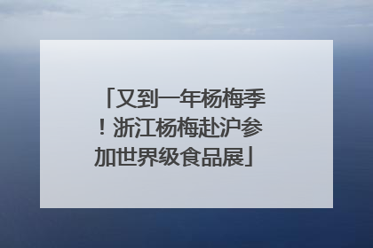 又到一年杨梅季！浙江杨梅赴沪参加世界级食品展