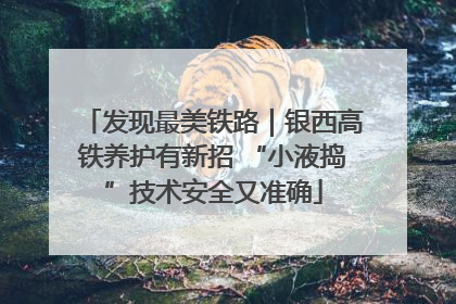 发现最美铁路｜银西高铁养护有新招 “小液捣”技术安全又准确