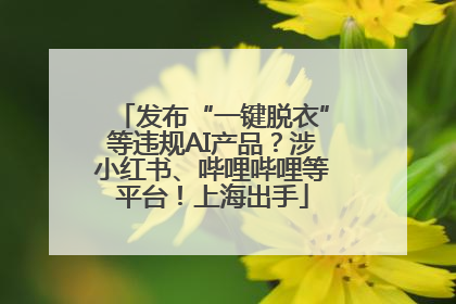 发布“一键脱衣”等违规AI产品？涉小红书、哔哩哔哩等平台！上海出手