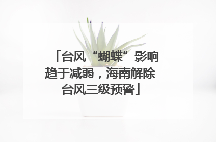 台风“蝴蝶”影响趋于减弱，海南解除台风三级预警