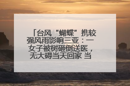 台风“蝴蝶”携较强风雨影响三亚：一女子被树砸倒送医，无大碍当天回家 当地已紧急清障