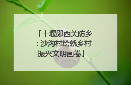 十堰郧西关防乡：沙沟村绘就乡村振兴文明画卷