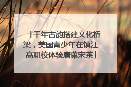 千年古韵搭建文化桥梁，美国青少年在镇江高职校体验唐菓宋茶