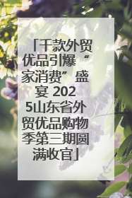 千款外贸优品引爆“家消费”盛宴 2025山东省外贸优品购物季第三期圆满收官