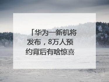 华为一新机将发布，8万人预约背后有啥惊喜？｜热财经