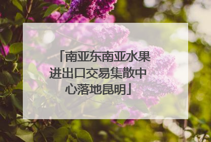 南亚东南亚水果进出口交易集散中心落地昆明