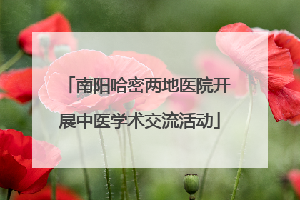 南阳哈密两地医院开展中医学术交流活动