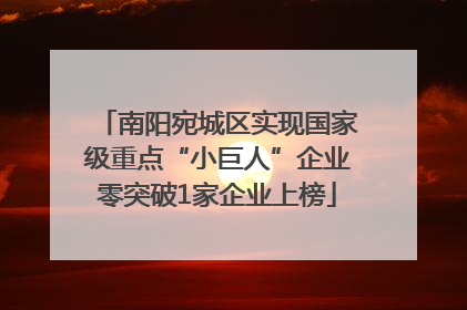 南阳宛城区实现国家级重点“小巨人”企业零突破1家企业上榜