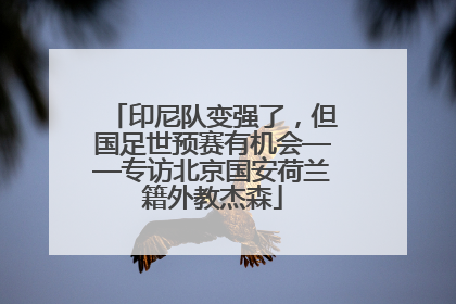印尼队变强了，但国足世预赛有机会——专访北京国安荷兰籍外教杰森