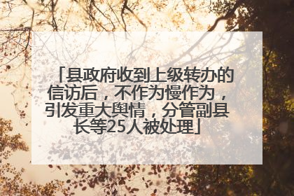 县政府收到上级转办的信访后，不作为慢作为，引发重大舆情，分管副县长等25人被处理