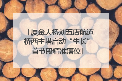 厦金大桥刘五店航道桥西主塔启动“生长” 首节段精准落位