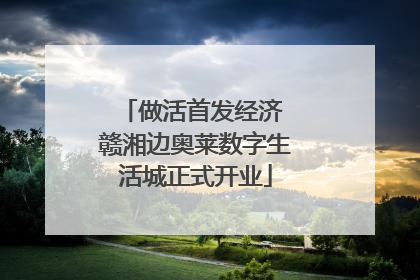 做活首发经济 赣湘边奥莱数字生活城正式开业