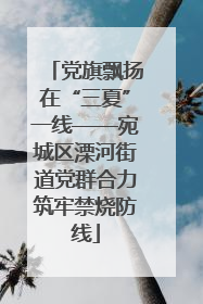 党旗飘扬在“三夏”一线——宛城区溧河街道党群合力筑牢禁烧防线