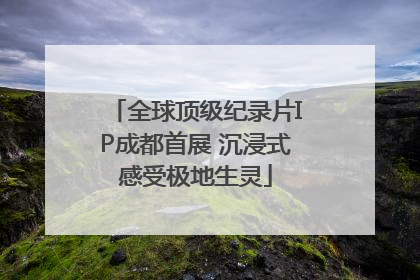 全球顶级纪录片IP成都首展 沉浸式感受极地生灵