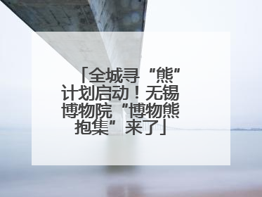 全城寻“熊”计划启动！无锡博物院“博物熊抱集”来了