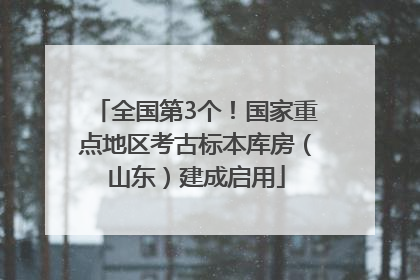 全国第3个！国家重点地区考古标本库房（山东）建成启用