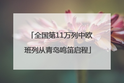 全国第11万列中欧班列从青岛鸣笛启程