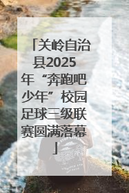 关岭自治县2025年“奔跑吧少年”校园足球三级联赛圆满落幕
