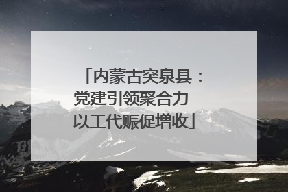 内蒙古突泉县：党建引领聚合力 以工代赈促增收