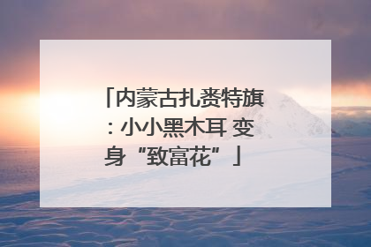 内蒙古扎赉特旗：小小黑木耳 变身“致富花”