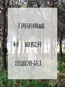 再访前戚村：庭院开出浪漫花