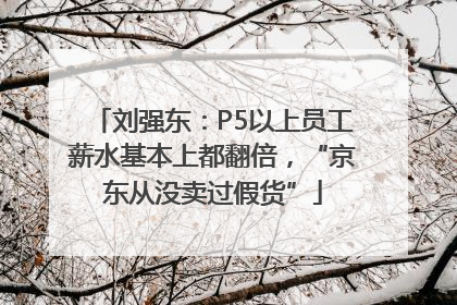 刘强东：P5以上员工薪水基本上都翻倍，“京东从没卖过假货”
