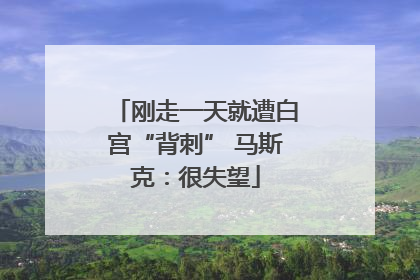 刚走一天就遭白宫“背刺” 马斯克：很失望