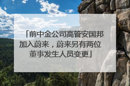 前中金公司高管安国邦加入蔚来，蔚来另有两位董事发生人员变更