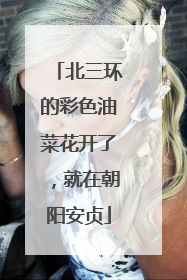北三环的彩色油菜花开了，就在朝阳安贞