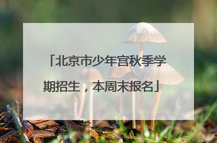 北京市少年宫秋季学期招生，本周末报名