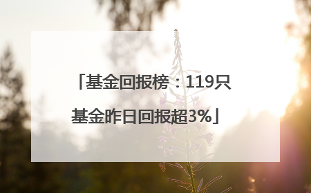 基金回报榜：119只基金昨日回报超3%