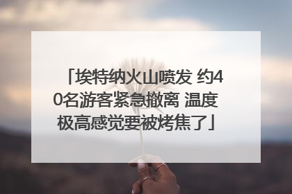 埃特纳火山喷发 约40名游客紧急撤离 温度极高感觉要被烤焦了