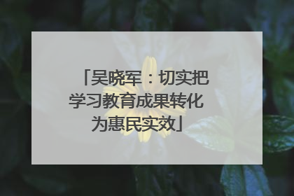 吴晓军：切实把学习教育成果转化为惠民实效