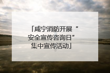 咸宁消防开展“安全宣传咨询日”集中宣传活动