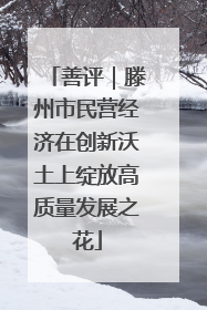 善评｜滕州市民营经济在创新沃土上绽放高质量发展之花