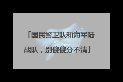 国民警卫队和海军陆战队，别傻傻分不清