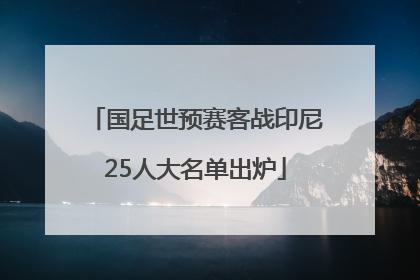 国足世预赛客战印尼25人大名单出炉