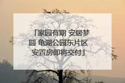 家园有期 安居梦圆 龟湖公园东片区安置房即将交付
