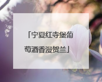 宁夏红寺堡葡萄酒香漫贺兰