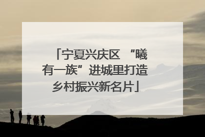 宁夏兴庆区 “曦有一族”进城里打造乡村振兴新名片